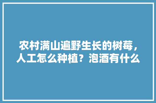 农村满山遍野生长的树莓，人工怎么种植？泡酒有什么功效，树莓水果的种植方法。 家禽养殖