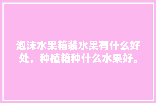 泡沫水果箱装水果有什么好处，种植箱种什么水果好。 土壤施肥