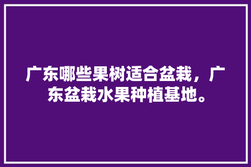 广东哪些果树适合盆栽，广东盆栽水果种植基地。 家禽养殖