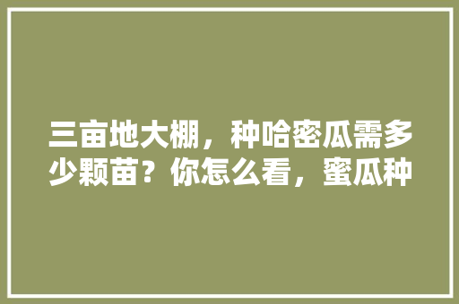 三亩地大棚，种哈密瓜需多少颗苗？你怎么看，蜜瓜种植水果图片。 三亩地大棚，种哈密瓜需多少颗苗？你怎么看，蜜瓜种植水果图片。 畜牧养殖