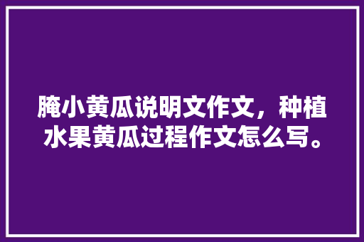 腌小黄瓜说明文作文，种植水果黄瓜过程作文怎么写。 土壤施肥