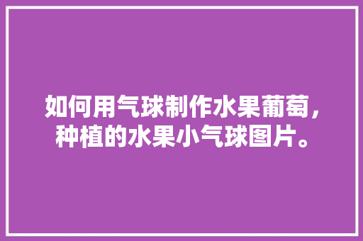 如何用气球制作水果葡萄，种植的水果小气球图片。 蔬菜种植