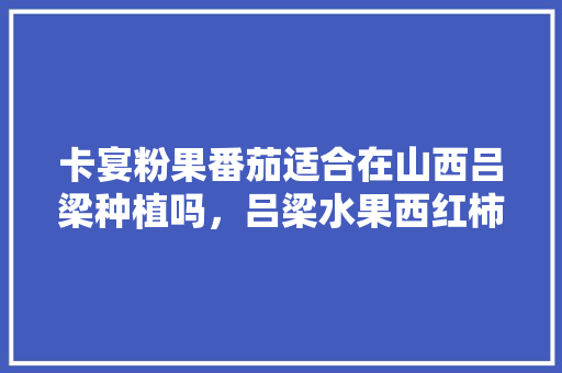 卡宴粉果番茄适合在山西吕梁种植吗，吕梁水果西红柿种植基地在哪里。 畜牧养殖