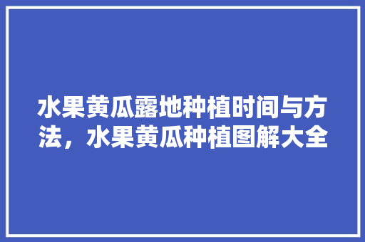 水果黄瓜露地种植时间与方法，水果黄瓜种植图解大全。 土壤施肥