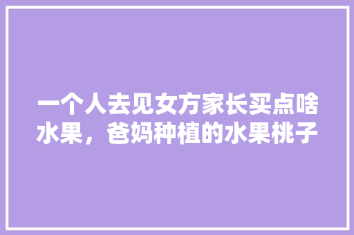 一个人去见女方家长买点啥水果，爸妈种植的水果桃子。 水果种植