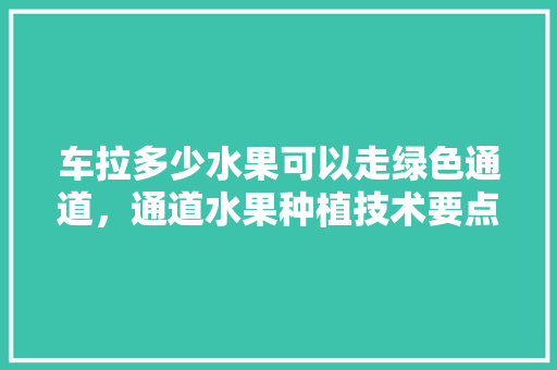 车拉多少水果可以走绿色通道，通道水果种植技术要点。 家禽养殖