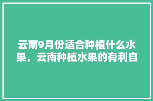 云南9月份适合种植什么水果，云南种植水果的有利自然条件。 畜牧养殖