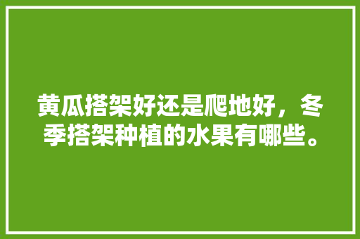 黄瓜搭架好还是爬地好，冬季搭架种植的水果有哪些。 畜牧养殖