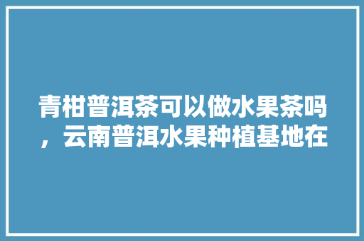 青柑普洱茶可以做水果茶吗，云南普洱水果种植基地在哪里。 家禽养殖