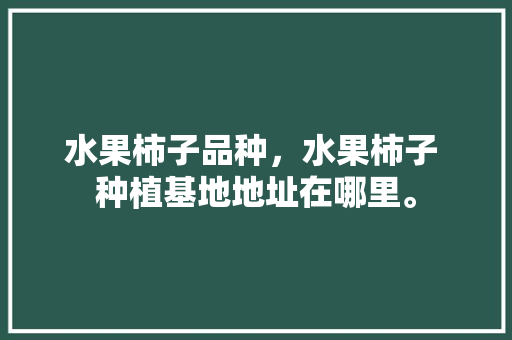 水果柿子品种，水果柿子 种植基地地址在哪里。 水果种植