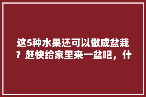 这5种水果还可以做成盆栽？赶快给家里来一盆吧，什么水果适合种植盆栽呢。 这5种水果还可以做成盆栽？赶快给家里来一盆吧，什么水果适合种植盆栽呢。 土壤施肥