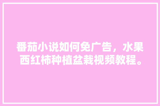 番茄小说如何免广告，水果西红柿种植盆栽视频教程。 蔬菜种植