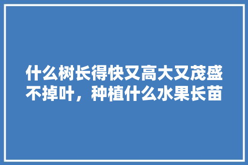 什么树长得快又高大又茂盛不掉叶，种植什么水果长苗快呢。 家禽养殖