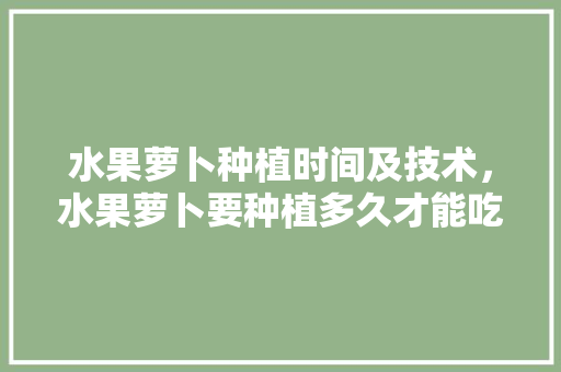 水果萝卜种植时间及技术，水果萝卜要种植多久才能吃了。 土壤施肥