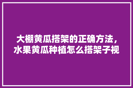 大棚黄瓜搭架的正确方法，水果黄瓜种植怎么搭架子视频。 水果种植