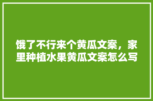 饿了不行来个黄瓜文案，家里种植水果黄瓜文案怎么写。 家禽养殖