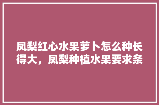 凤梨红心水果萝卜怎么种长得大，凤梨种植水果要求条件是什么。 水果种植