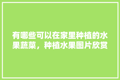 有哪些可以在家里种植的水果蔬菜，种植水果图片欣赏大全。 有哪些可以在家里种植的水果蔬菜，种植水果图片欣赏大全。 水果种植