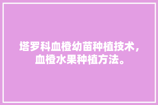 塔罗科血橙幼苗种植技术，血橙水果种植方法。 家禽养殖