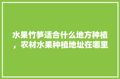 水果竹笋适合什么地方种植，农材水果种植地址在哪里。 土壤施肥