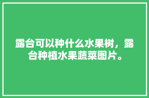 露台可以种什么水果树，露台种植水果蔬菜图片。 露台可以种什么水果树，露台种植水果蔬菜图片。 家禽养殖