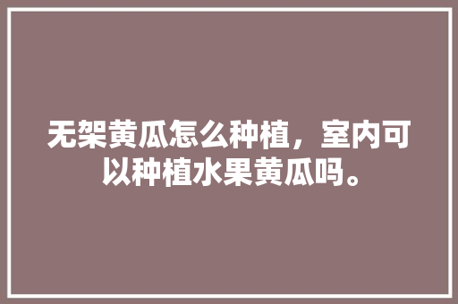 无架黄瓜怎么种植，室内可以种植水果黄瓜吗。 家禽养殖