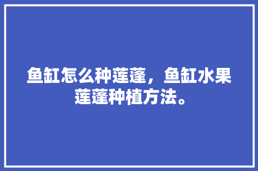 鱼缸怎么种莲蓬，鱼缸水果莲蓬种植方法。 家禽养殖