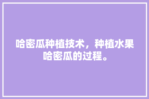 哈密瓜种植技术，种植水果哈密瓜的过程。 哈密瓜种植技术，种植水果哈密瓜的过程。 蔬菜种植