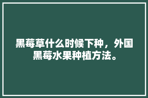 黑莓草什么时候下种，外国黑莓水果种植方法。 畜牧养殖