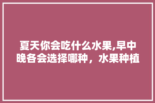 夏天你会吃什么水果,早中晚各会选择哪种，水果种植推荐夏季种植。 蔬菜种植