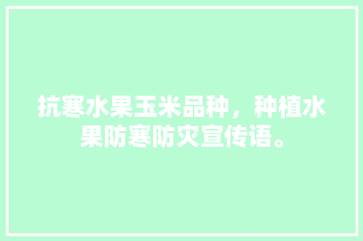 抗寒水果玉米品种，种植水果防寒防灾宣传语。 土壤施肥