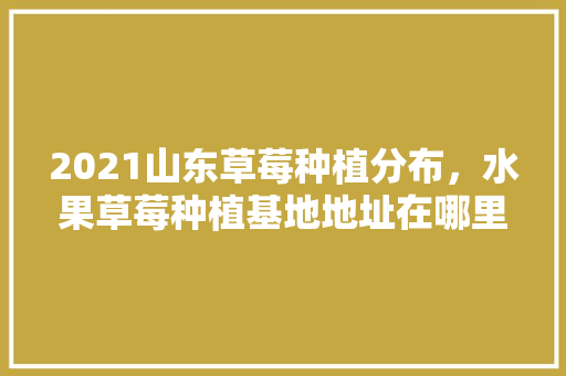 2021山东草莓种植分布，水果草莓种植基地地址在哪里。 2021山东草莓种植分布，水果草莓种植基地地址在哪里。 水果种植