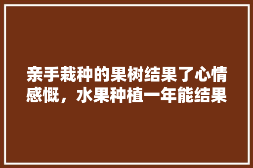 亲手栽种的果树结果了心情感慨，水果种植一年能结果吗吗多少钱。 水果种植