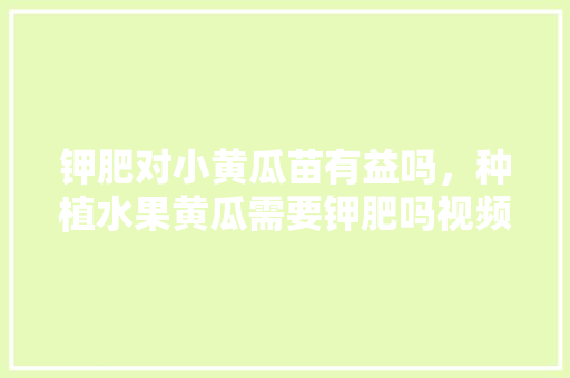 钾肥对小黄瓜苗有益吗，种植水果黄瓜需要钾肥吗视频。 水果种植