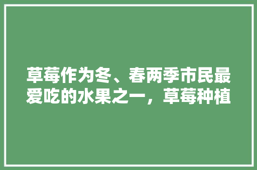 草莓作为冬、春两季市民最爱吃的水果之一，草莓种植时应如何施肥管理才能绿色、生态、环保，种植水果不用施肥吗为什么。 土壤施肥