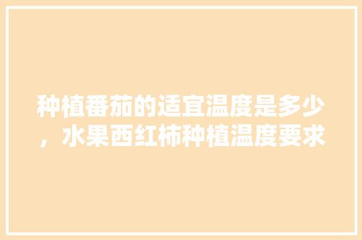 种植番茄的适宜温度是多少，水果西红柿种植温度要求。 土壤施肥