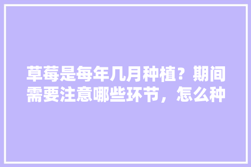 草莓是每年几月种植？期间需要注意哪些环节，怎么种植水果草莓视频。 草莓是每年几月种植？期间需要注意哪些环节，怎么种植水果草莓视频。 家禽养殖