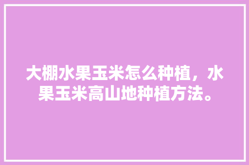 大棚水果玉米怎么种植，水果玉米高山地种植方法。 蔬菜种植