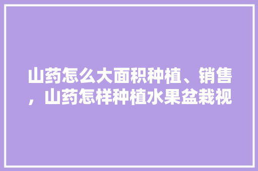 山药怎么大面积种植、销售，山药怎样种植水果盆栽视频。 山药怎么大面积种植、销售，山药怎样种植水果盆栽视频。 土壤施肥