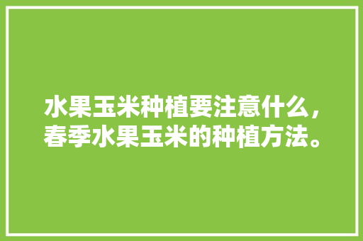 水果玉米种植要注意什么，春季水果玉米的种植方法。 土壤施肥