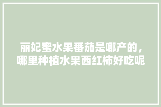 丽妃蜜水果番茄是哪产的，哪里种植水果西红柿好吃呢。 丽妃蜜水果番茄是哪产的，哪里种植水果西红柿好吃呢。 家禽养殖