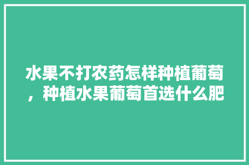 水果不打农药怎样种植葡萄，种植水果葡萄首选什么肥料。 水果不打农药怎样种植葡萄，种植水果葡萄首选什么肥料。 水果种植