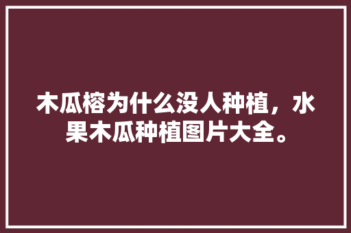 木瓜榕为什么没人种植，水果木瓜种植图片大全。 蔬菜种植