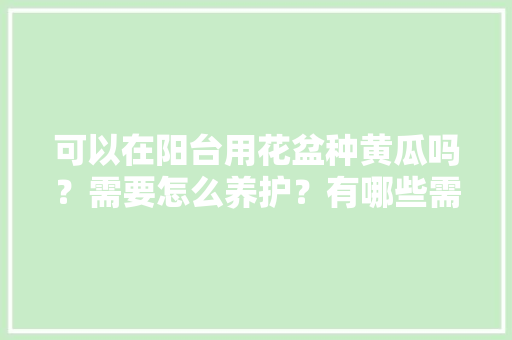 可以在阳台用花盆种黄瓜吗？需要怎么养护？有哪些需要注意的地方，怎么种植阳台水果黄瓜视频。 蔬菜种植