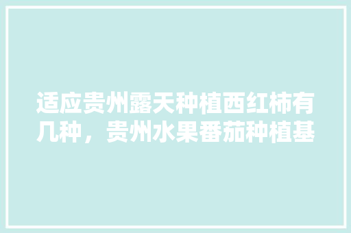 适应贵州露天种植西红柿有几种，贵州水果番茄种植基地在哪里。 水果种植