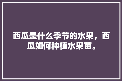 西瓜是什么季节的水果，西瓜如何种植水果苗。 水果种植