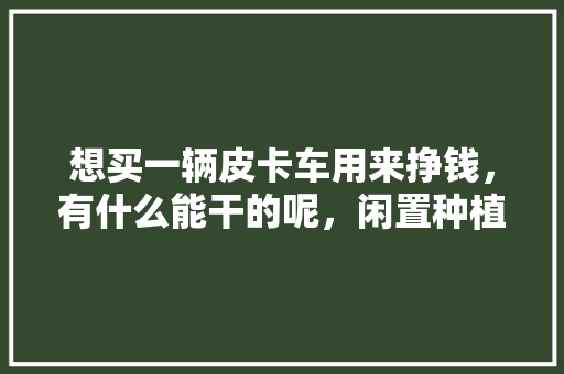 想买一辆皮卡车用来挣钱，有什么能干的呢，闲置种植的水果有哪些。 蔬菜种植