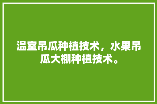 温室吊瓜种植技术，水果吊瓜大棚种植技术。 蔬菜种植