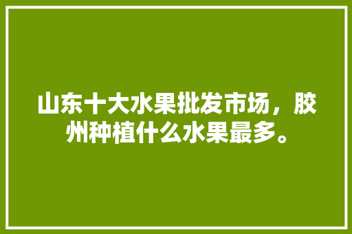 山东十大水果批发市场，胶州种植什么水果最多。 蔬菜种植