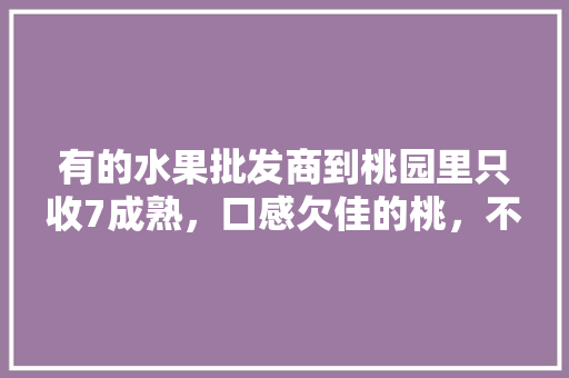 有的水果批发商到桃园里只收7成熟，口感欠佳的桃，不收9成熟，甜度更高的桃子，为什么，桃源水果种植基地在哪里。 蔬菜种植